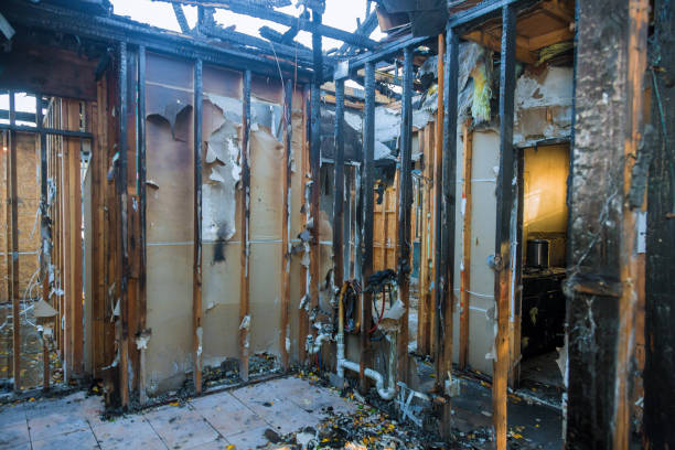 Professional Fire Damage Assessment technician working in Olmos Park, TX